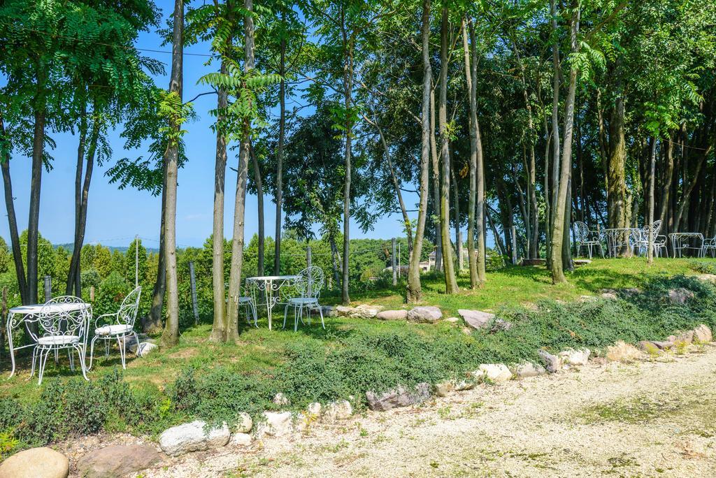 Agriturismo B&B Corte Tonolli Valeggio sul Mincio Zewnętrze zdjęcie