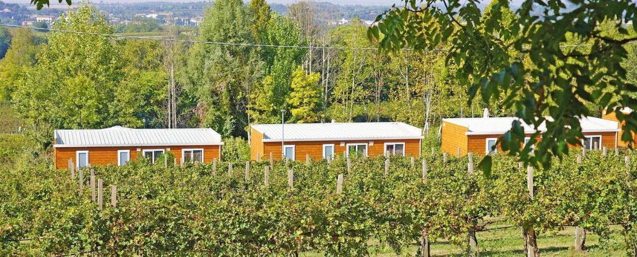 Agriturismo B&B Corte Tonolli Valeggio sul Mincio Zewnętrze zdjęcie