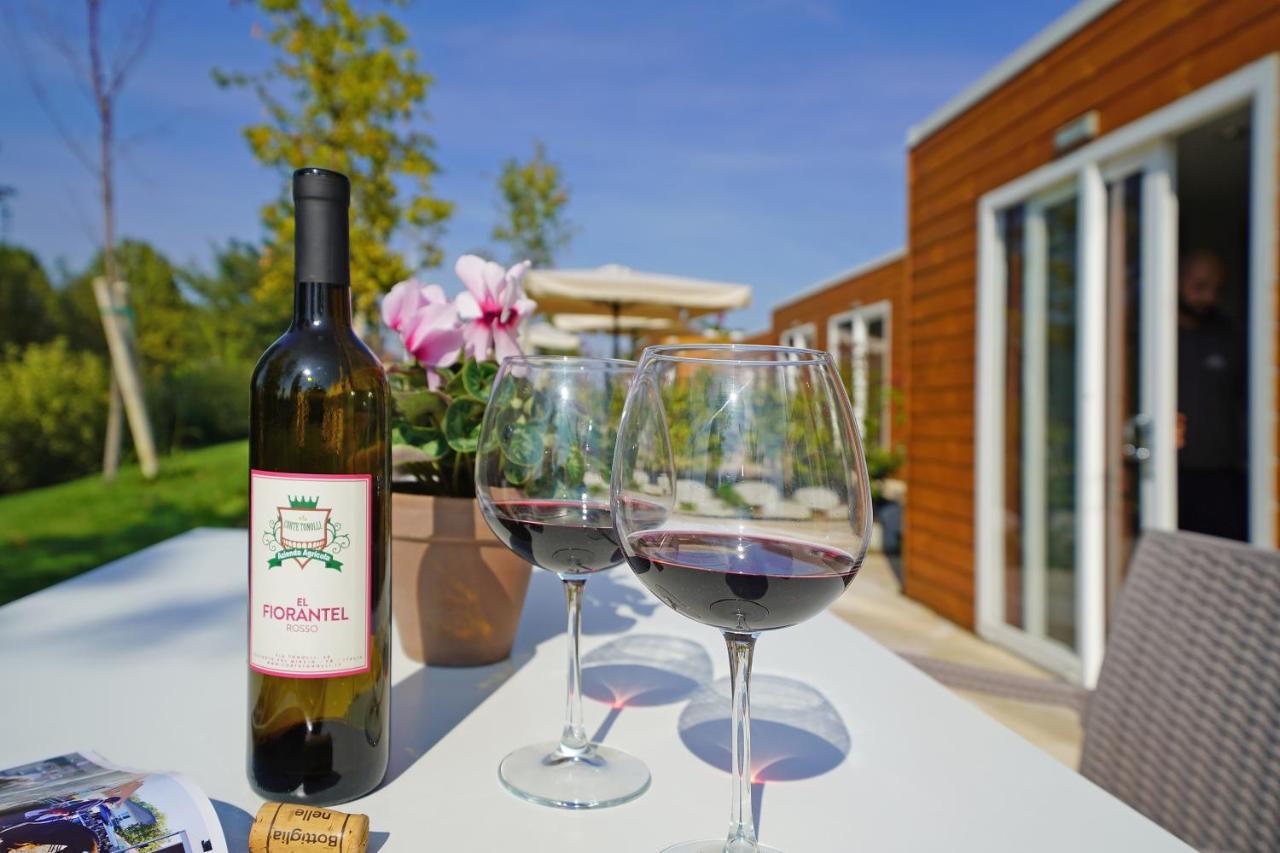 Agriturismo B&B Corte Tonolli Valeggio sul Mincio Zewnętrze zdjęcie